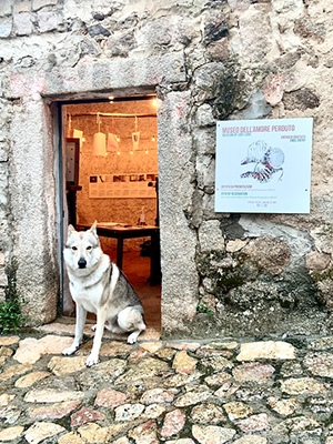 Museo dell'Amore Perduto